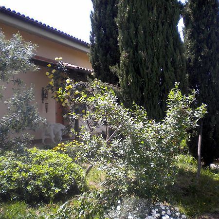 Le Tre Querce Bed and Breakfast Fiano Romano Εξωτερικό φωτογραφία