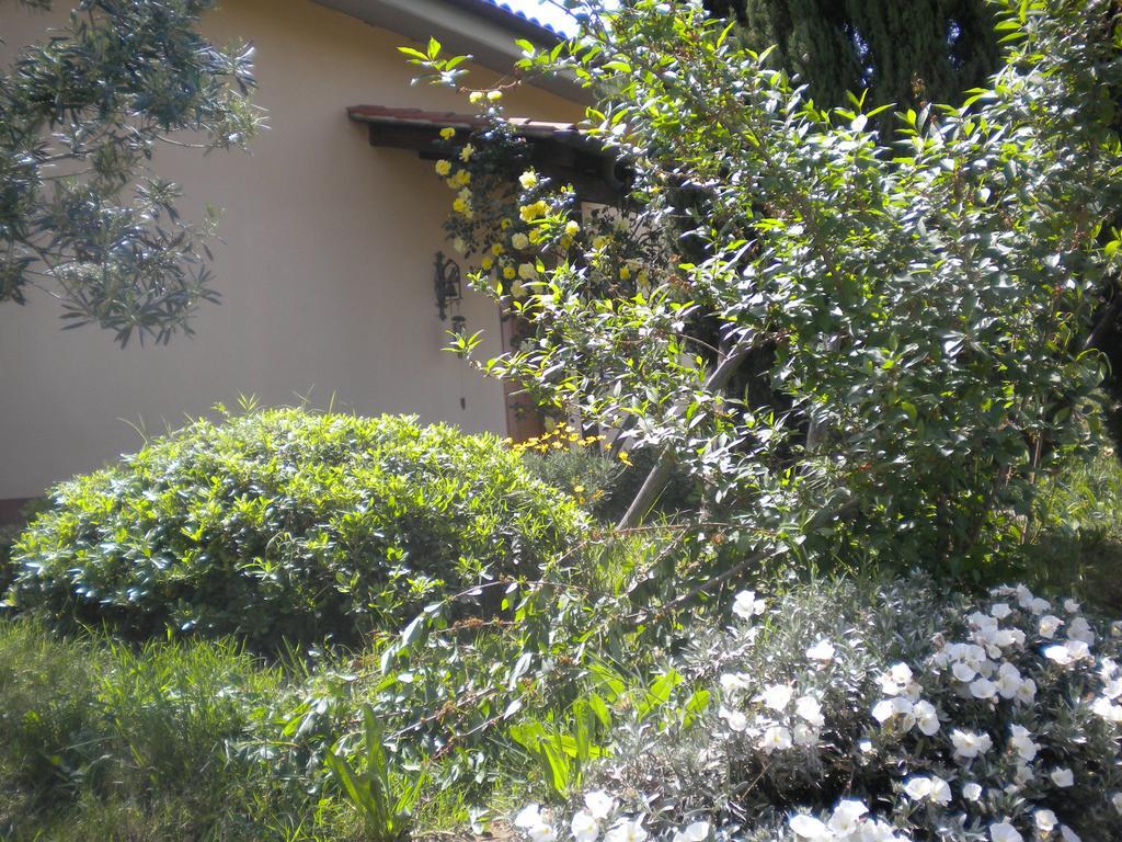 Le Tre Querce Bed and Breakfast Fiano Romano Εξωτερικό φωτογραφία