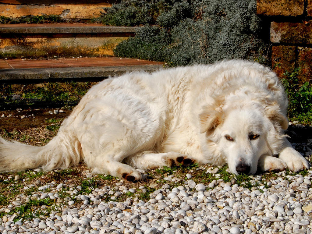 Le Tre Querce Bed and Breakfast Fiano Romano Εξωτερικό φωτογραφία